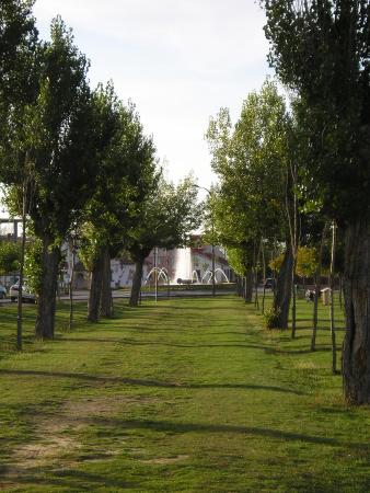 ARBOLEDA CERCANA A SAN ROQUE