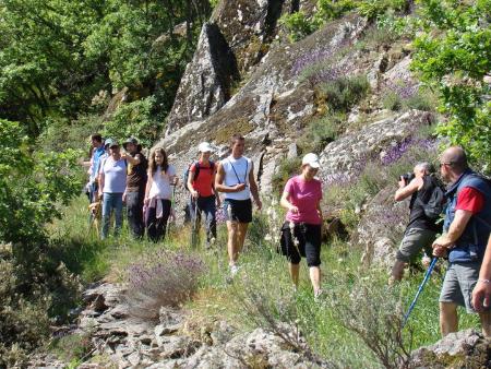 Imagen Tercera Ruta, Riaza - Riofrío de Riaza - San Benito - Riaza