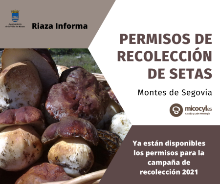 Imagen PERMISOS DE RECOLECCIÓN DE SETAS.