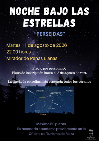 Imagen NOCHE BAJO LAS ESTRELLAS.- Perseidas