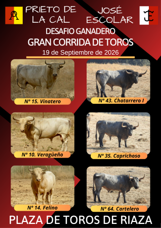 Imagen FERIA TAURINA RIAZA 2026.