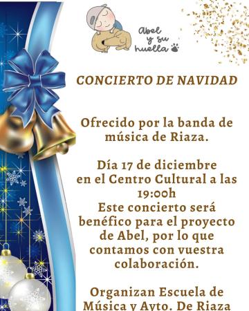 Concierto de Nvidad