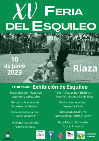 XV FIESTA DEL ESQUILEO