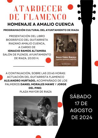 Imagen ATARCEDER DE FLAMENCO